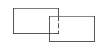 Levidee logo